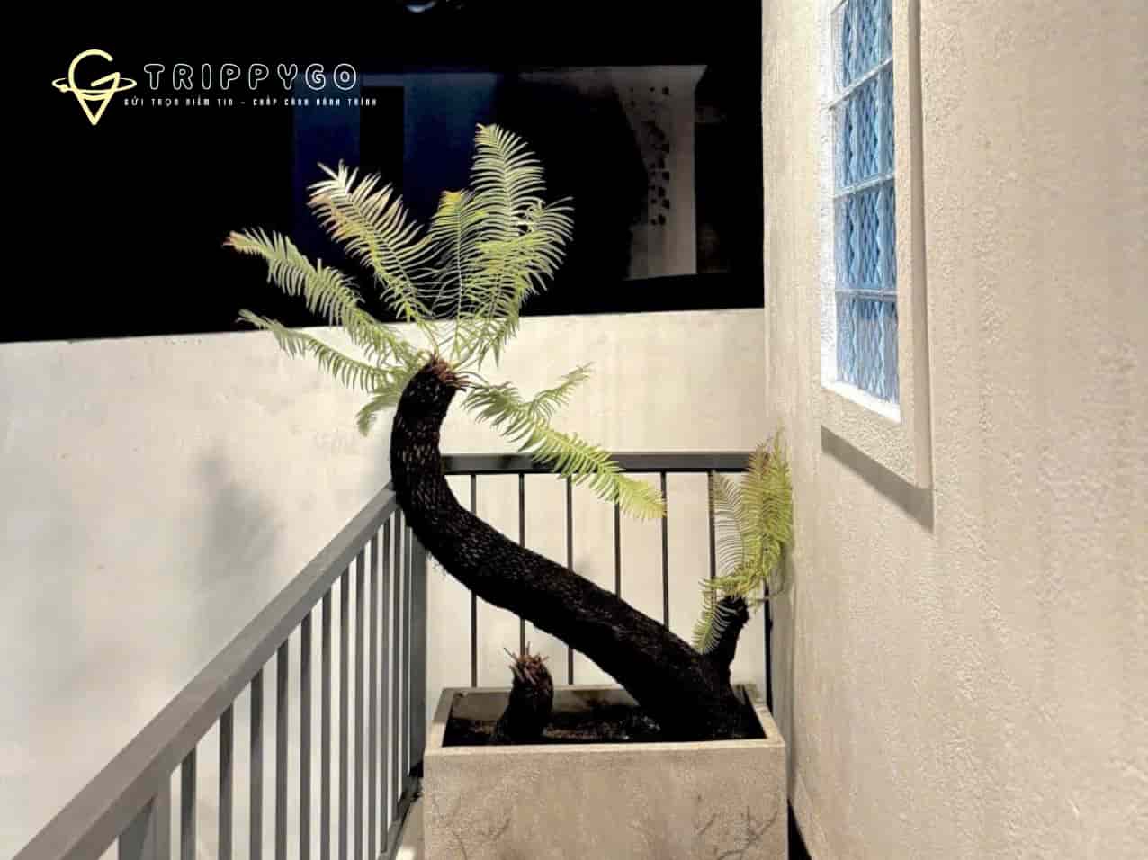 tram-nghi-pho-bien-villa